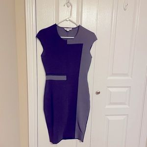 Alexander Wang Bodycon Dress